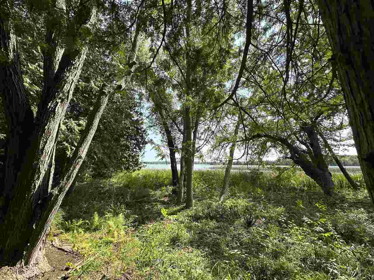 5076 Oden Road Alanson MI 49706