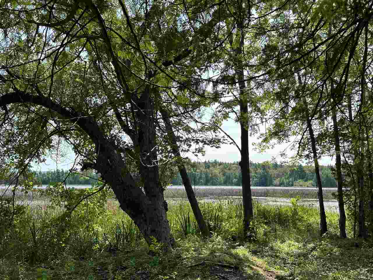5076 Oden Road Alanson MI 49706