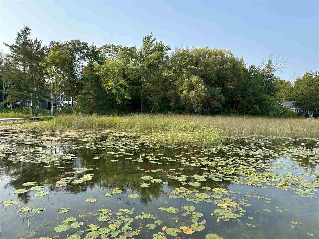 5076 Oden Road Alanson MI 49706