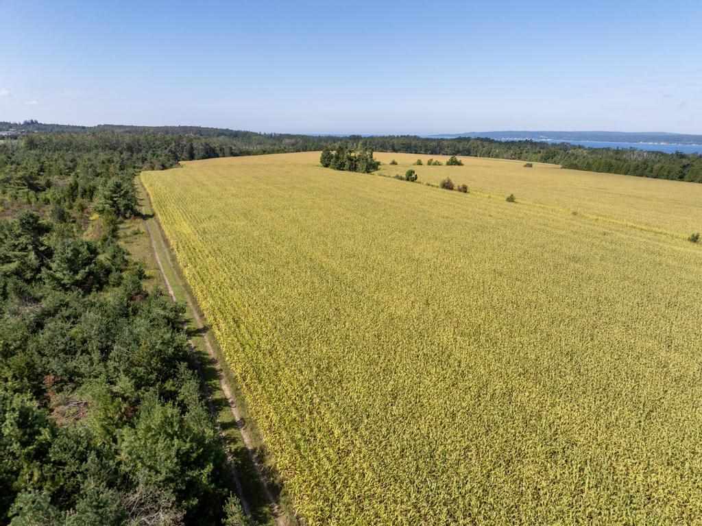 Tbd Division Road Petoskey MI 49770