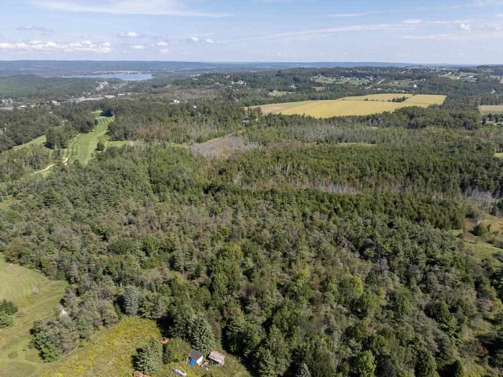 Tbd Division Road Petoskey MI 49770