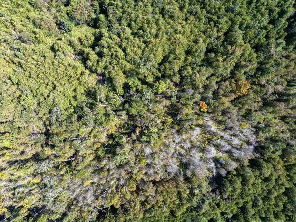 Tbd Division Road Petoskey MI 49770