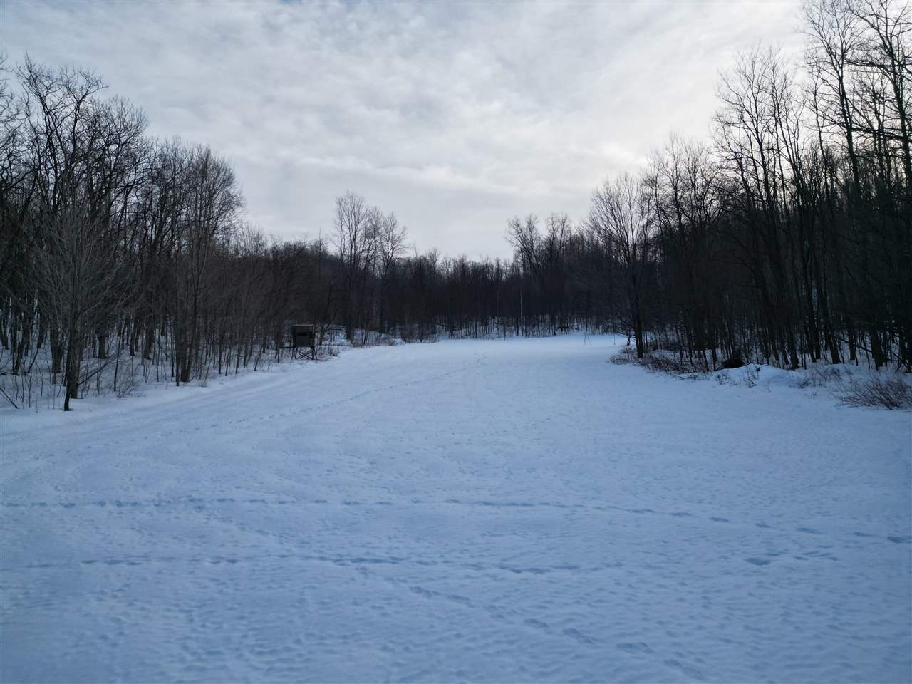 1465 Dam Road Boyne City MI 49712