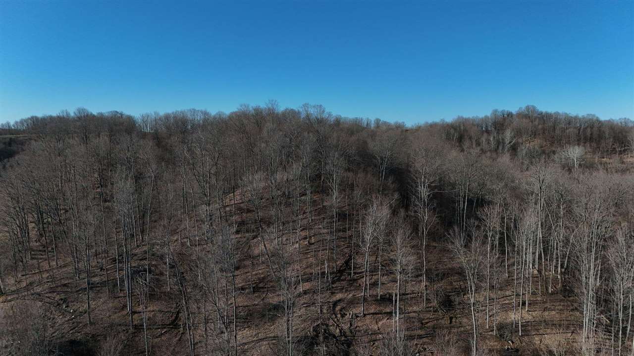 1465 Dam Road Boyne City MI 49712