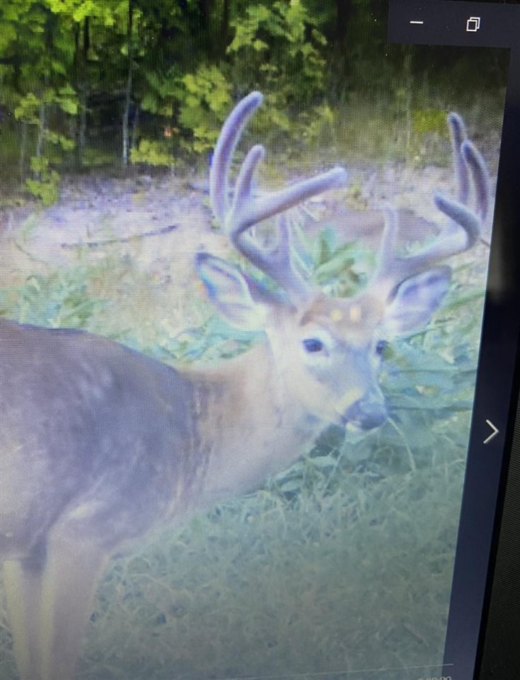 1465 Dam Road Boyne City MI 49712