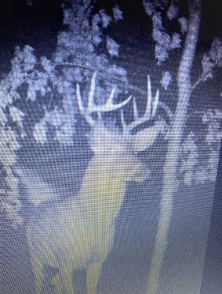 1465 Dam Road Boyne City MI 49712