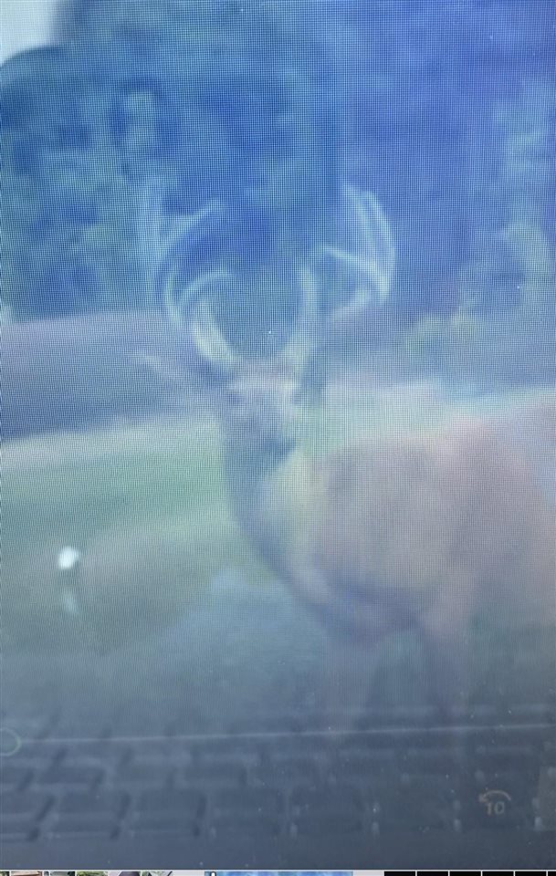 1465 Dam Road Boyne City MI 49712