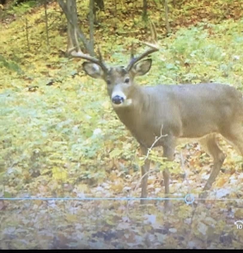 1465 Dam Road Boyne City MI 49712