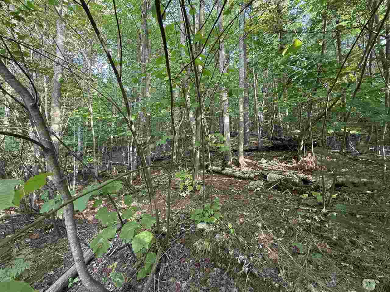 North Country Club Drive Charlevoix MI 49720