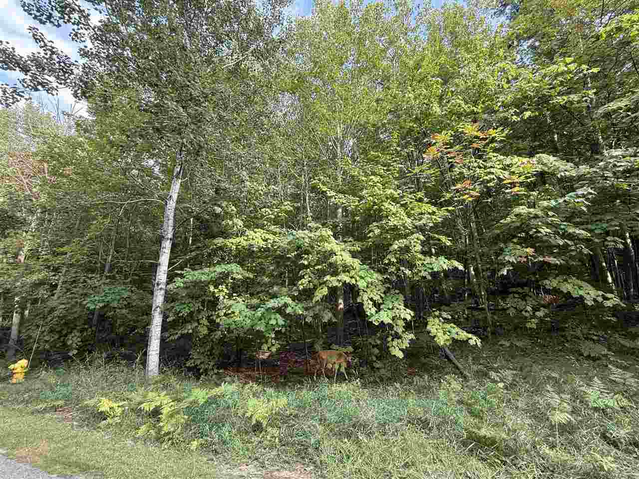 North Country Club Drive Charlevoix MI 49720