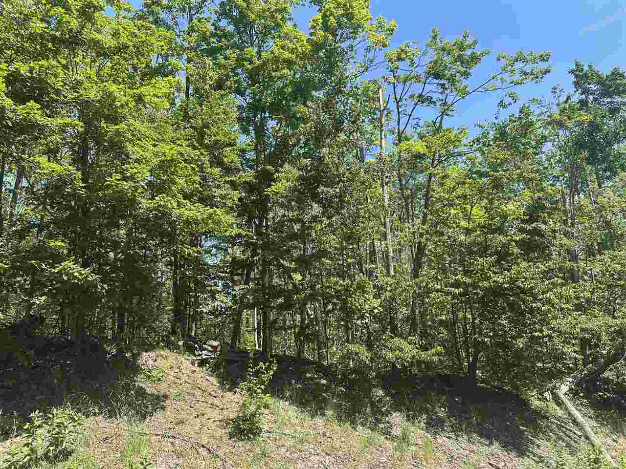 4080 West Ridge Court Harbor Springs MI 49740
