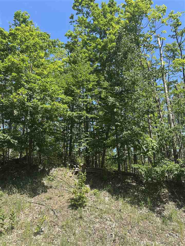 4080 West Ridge Court Harbor Springs MI 49740