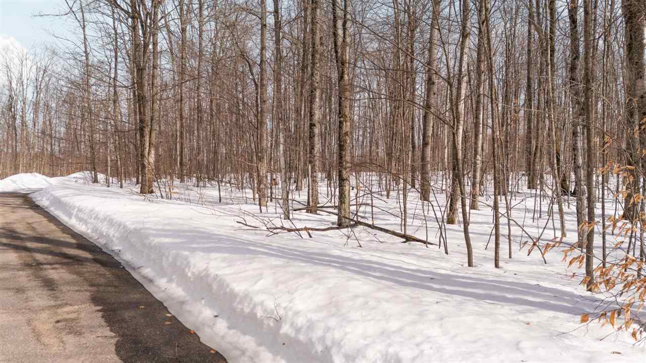 Tbd S Black Rock Way Harbor Springs MI 49740
