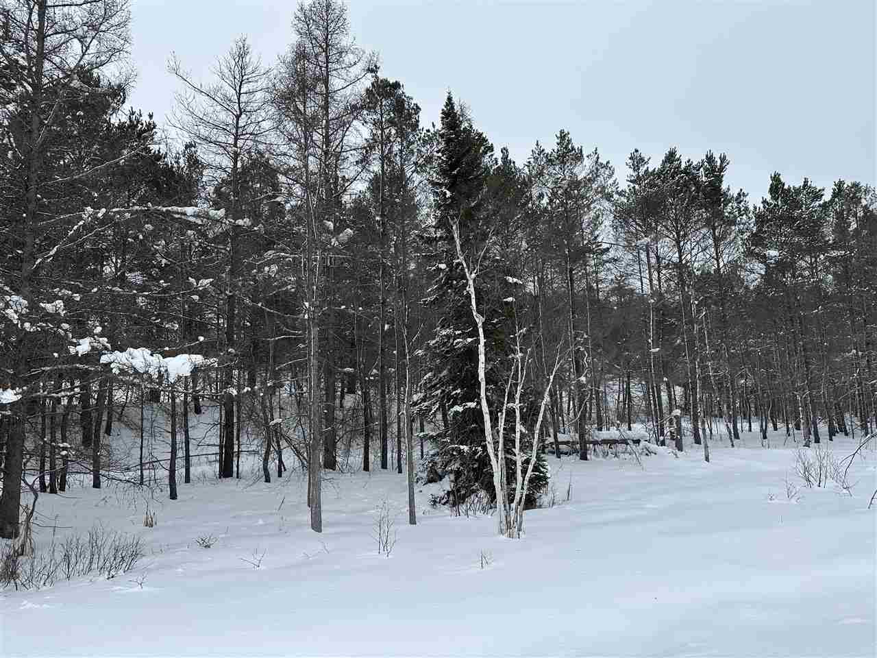 Tbd Us 131 N Boyne Falls MI 49713