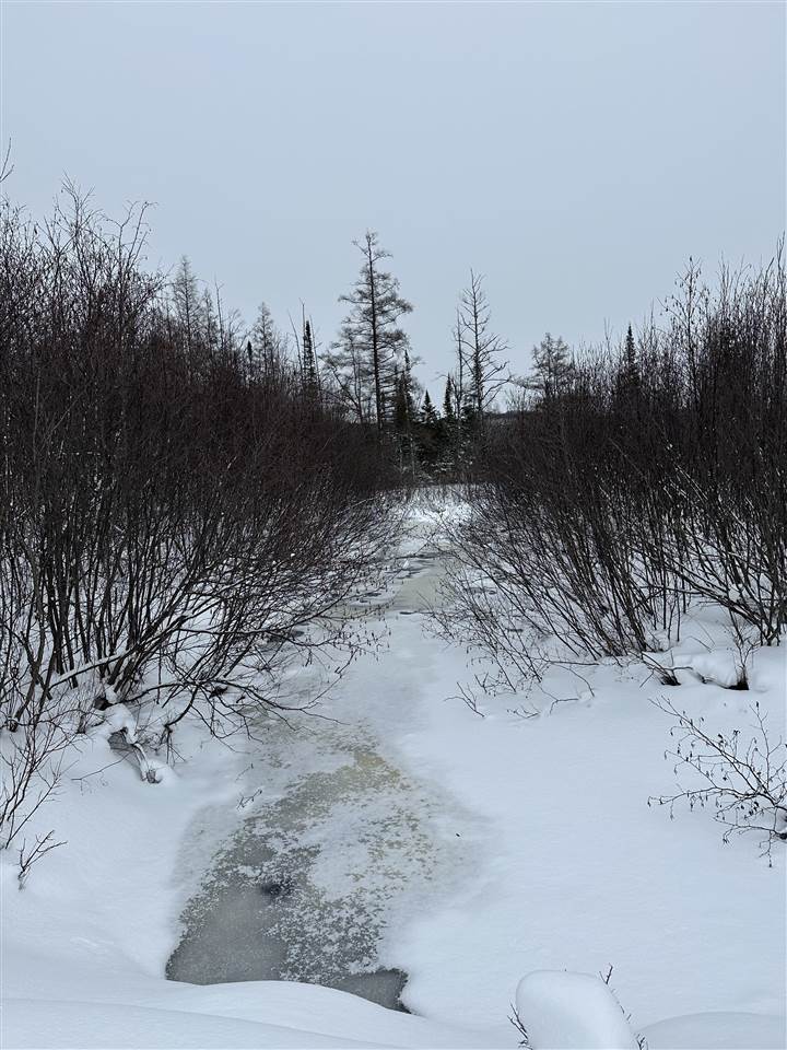 Tbd Us 131 N Boyne Falls MI 49713