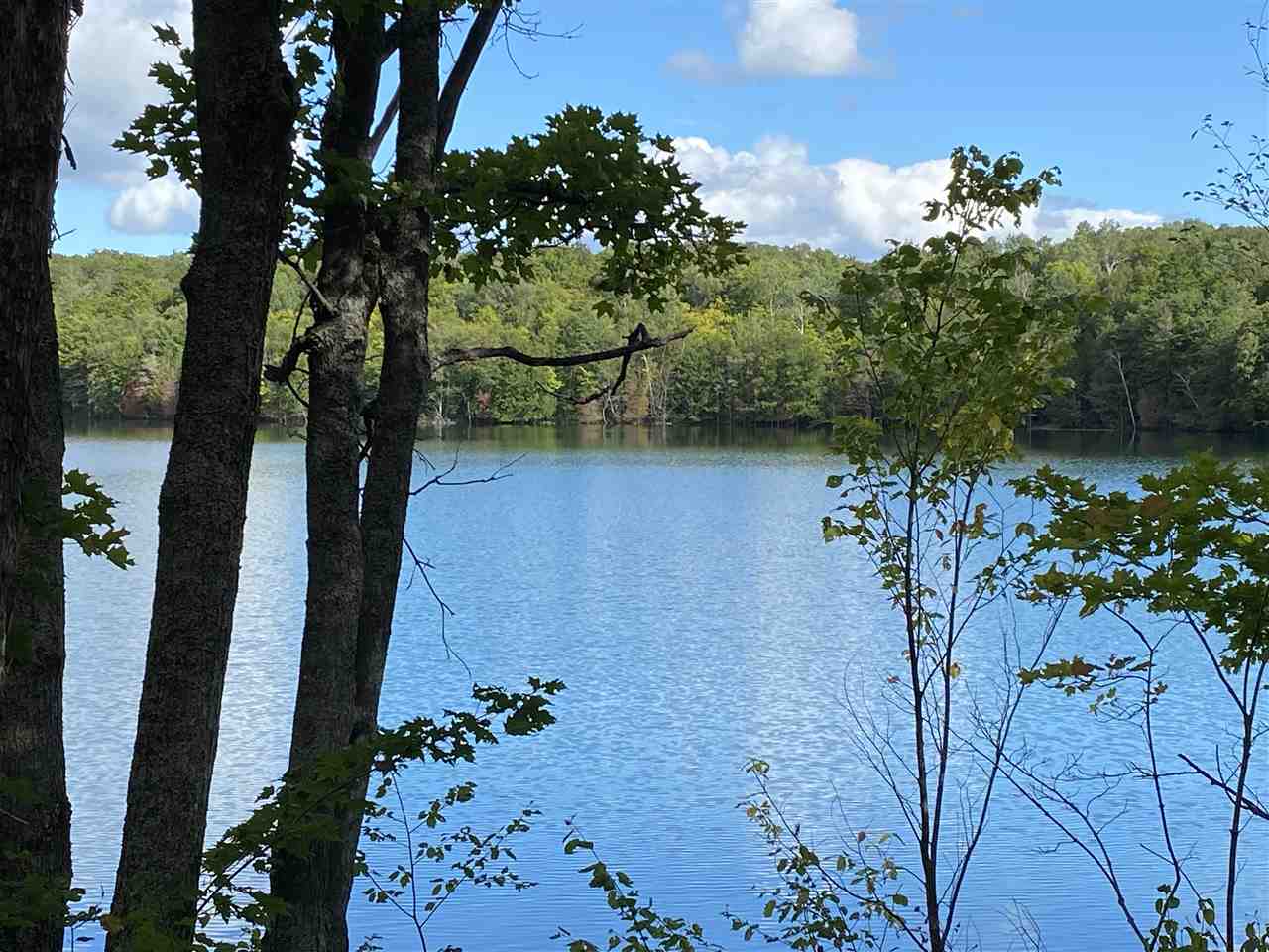 Tbd Common Trail Elmira MI 49730