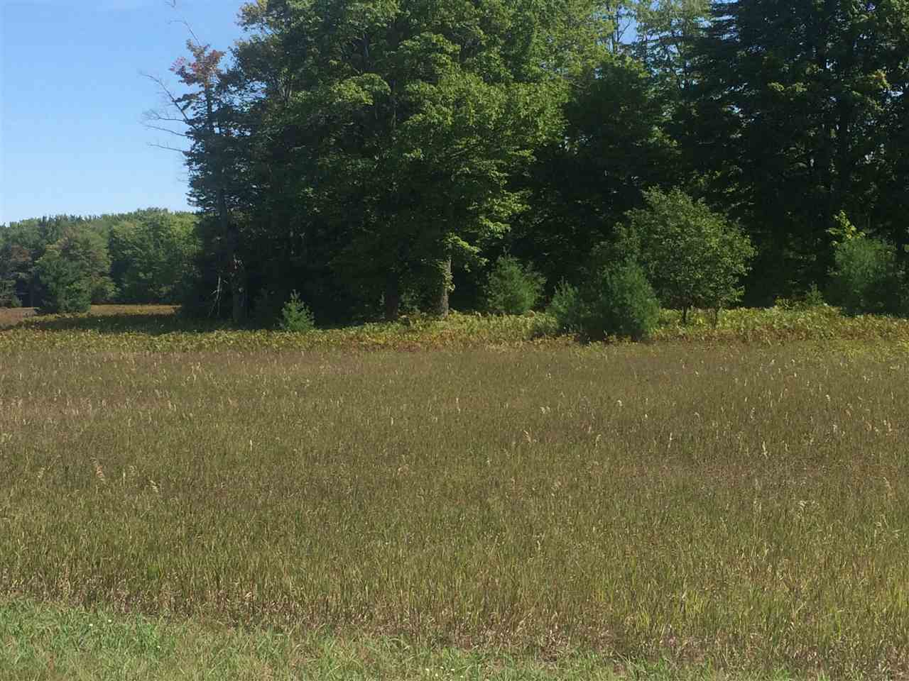 7325 Keystone Park Drive Alanson MI 49706