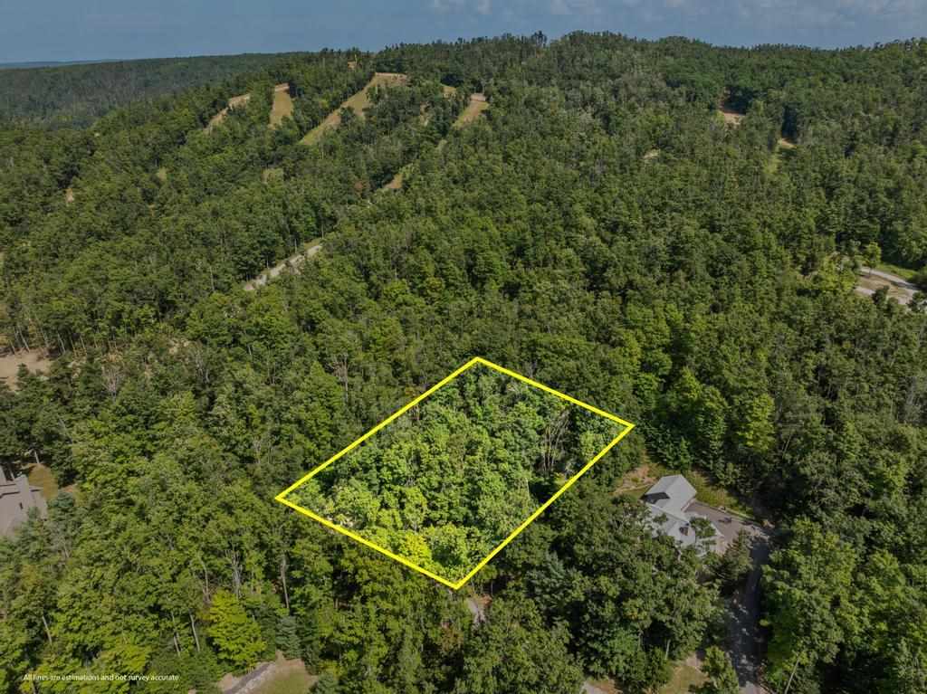 6093 Wintergreen Harbor Springs MI 49740