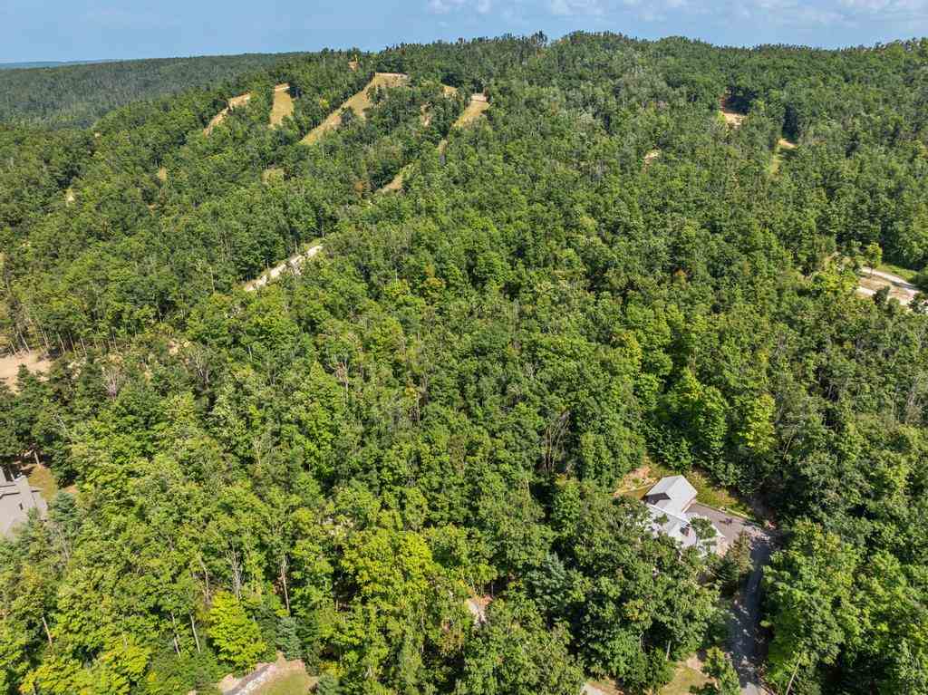 6093 Wintergreen Harbor Springs MI 49740