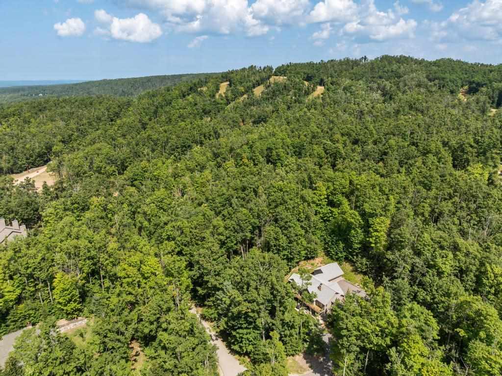 6093 Wintergreen Harbor Springs MI 49740