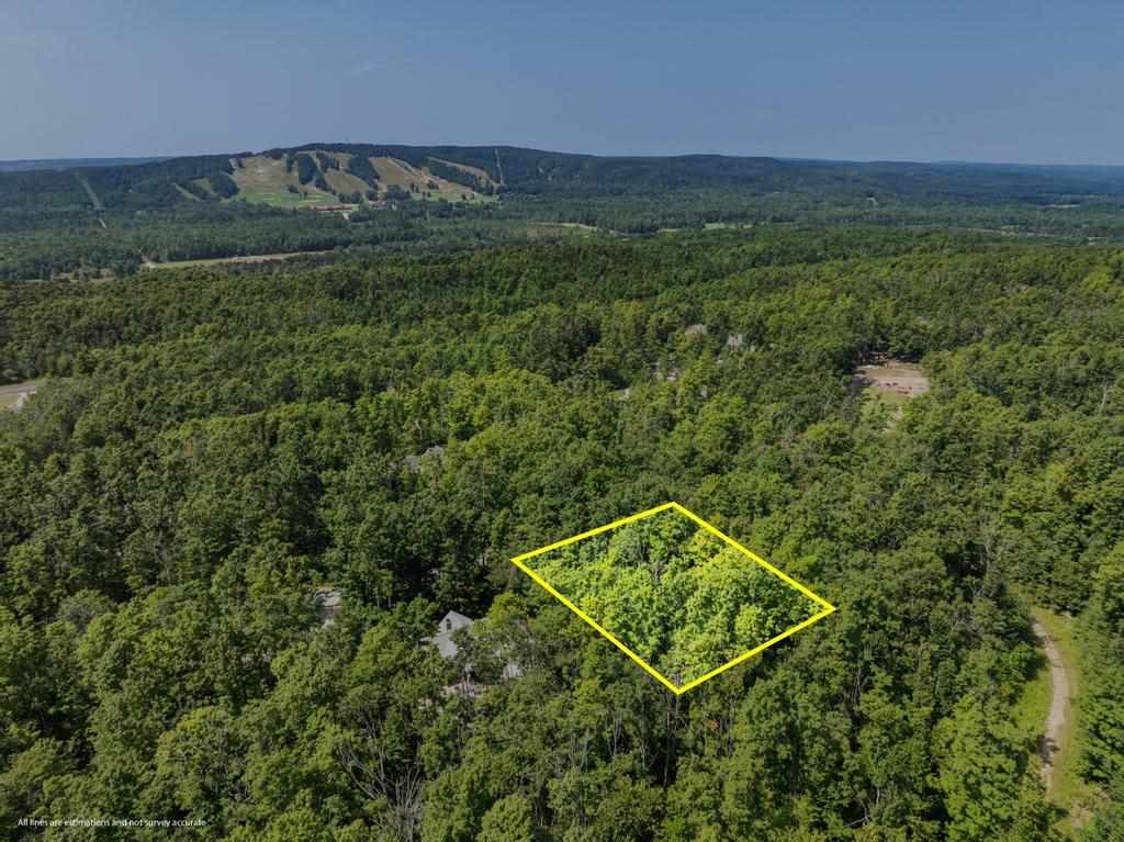 6093 Wintergreen Harbor Springs MI 49740