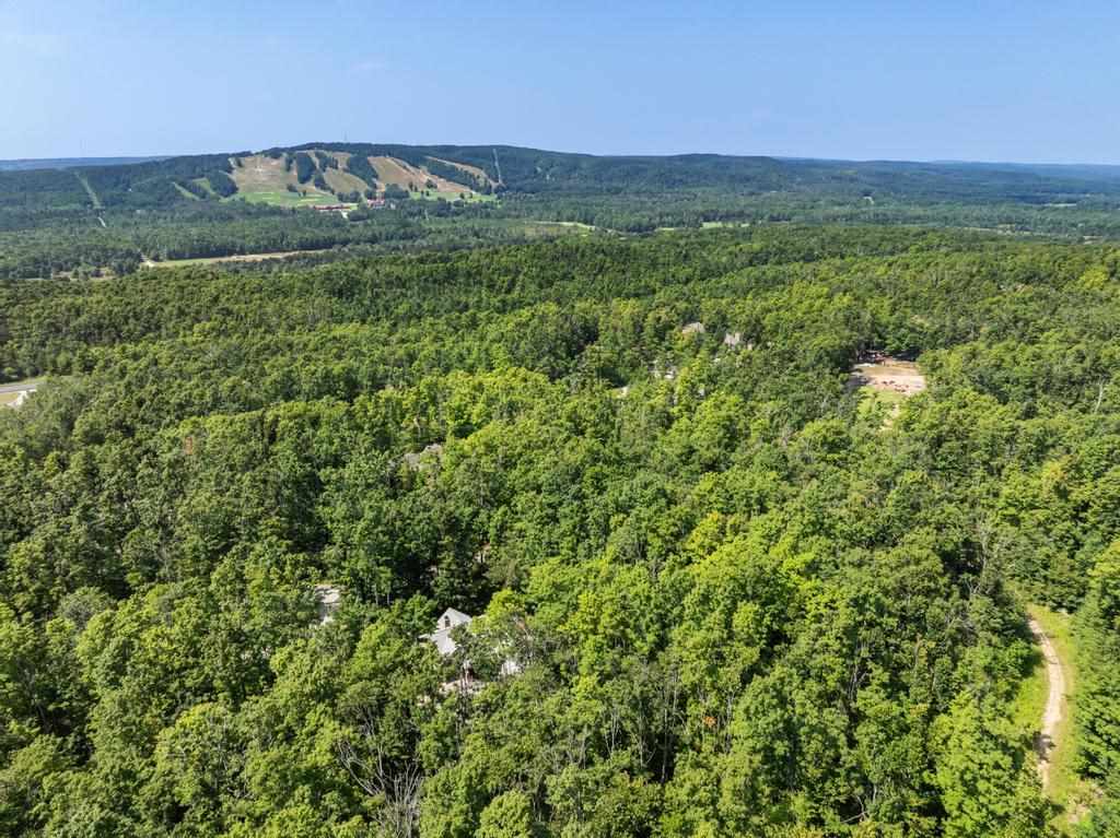 6093 Wintergreen Harbor Springs MI 49740