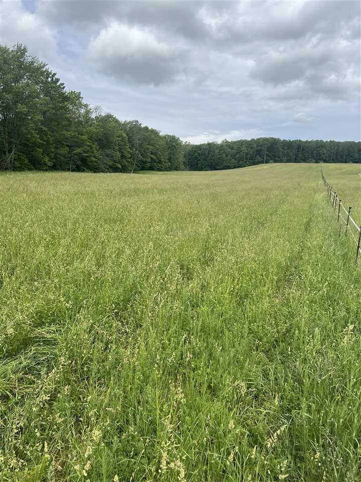 Springwood Road C-3 Charlevoix MI 49720