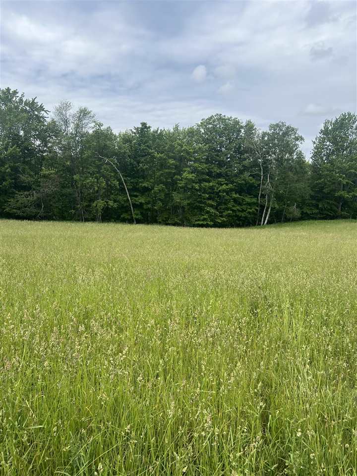 Springwood Road C-3 Charlevoix MI 49720