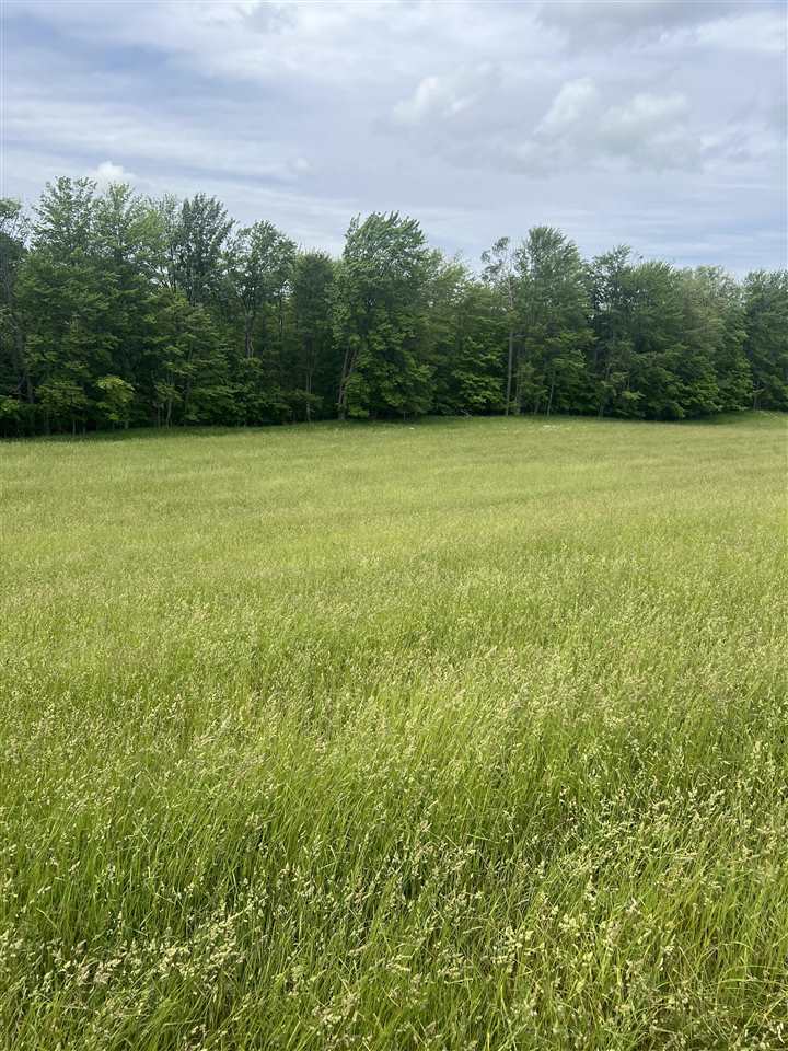 Springwood Road C-3 Charlevoix MI 49720