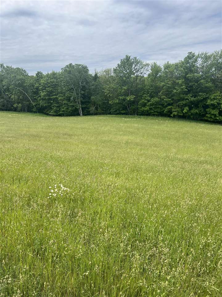 Springwood Road C-3 Charlevoix MI 49720