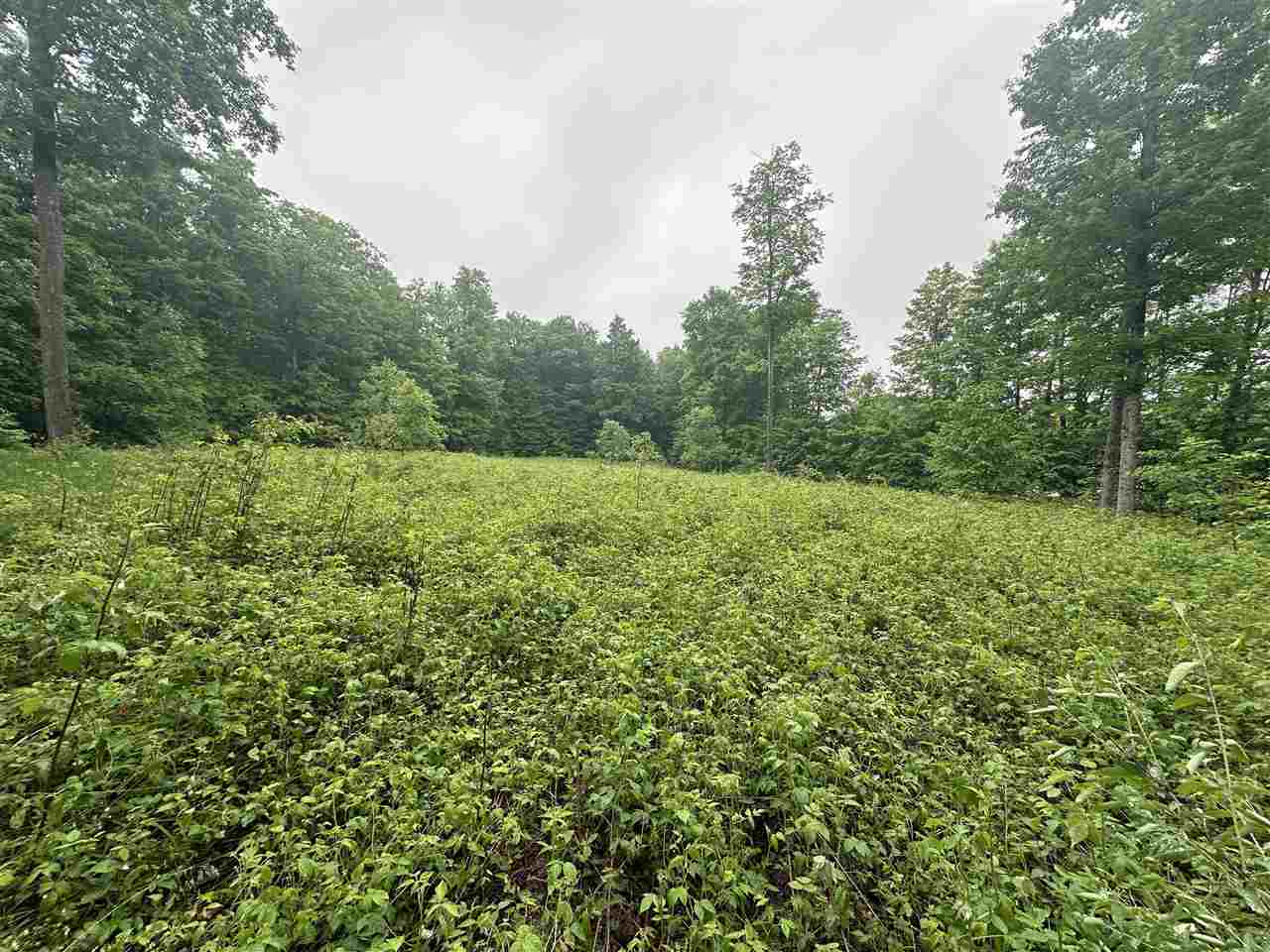 Parcel 2 Tobias Road Elmira MI 49730