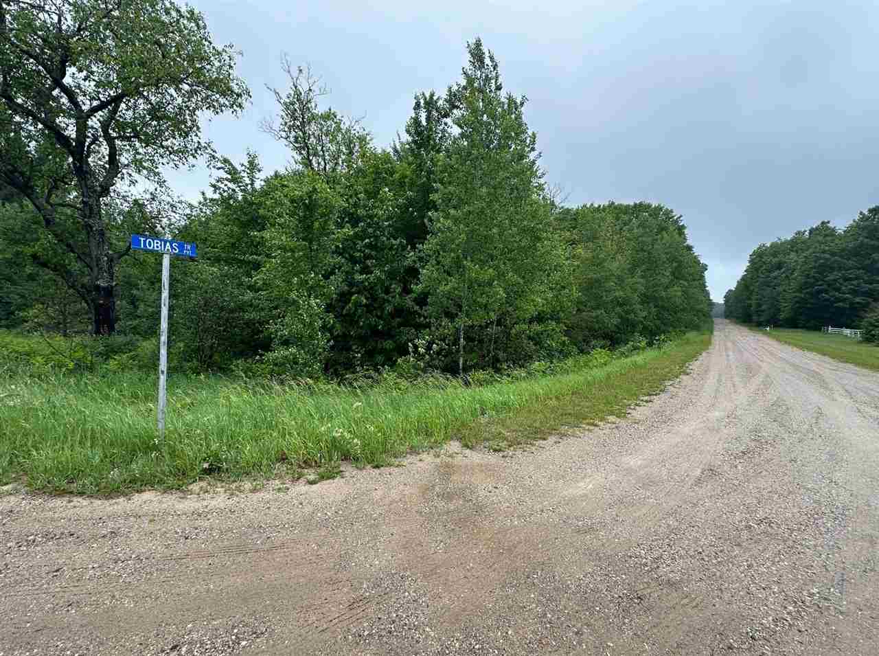 Parcel 2 Tobias Road Elmira MI 49730