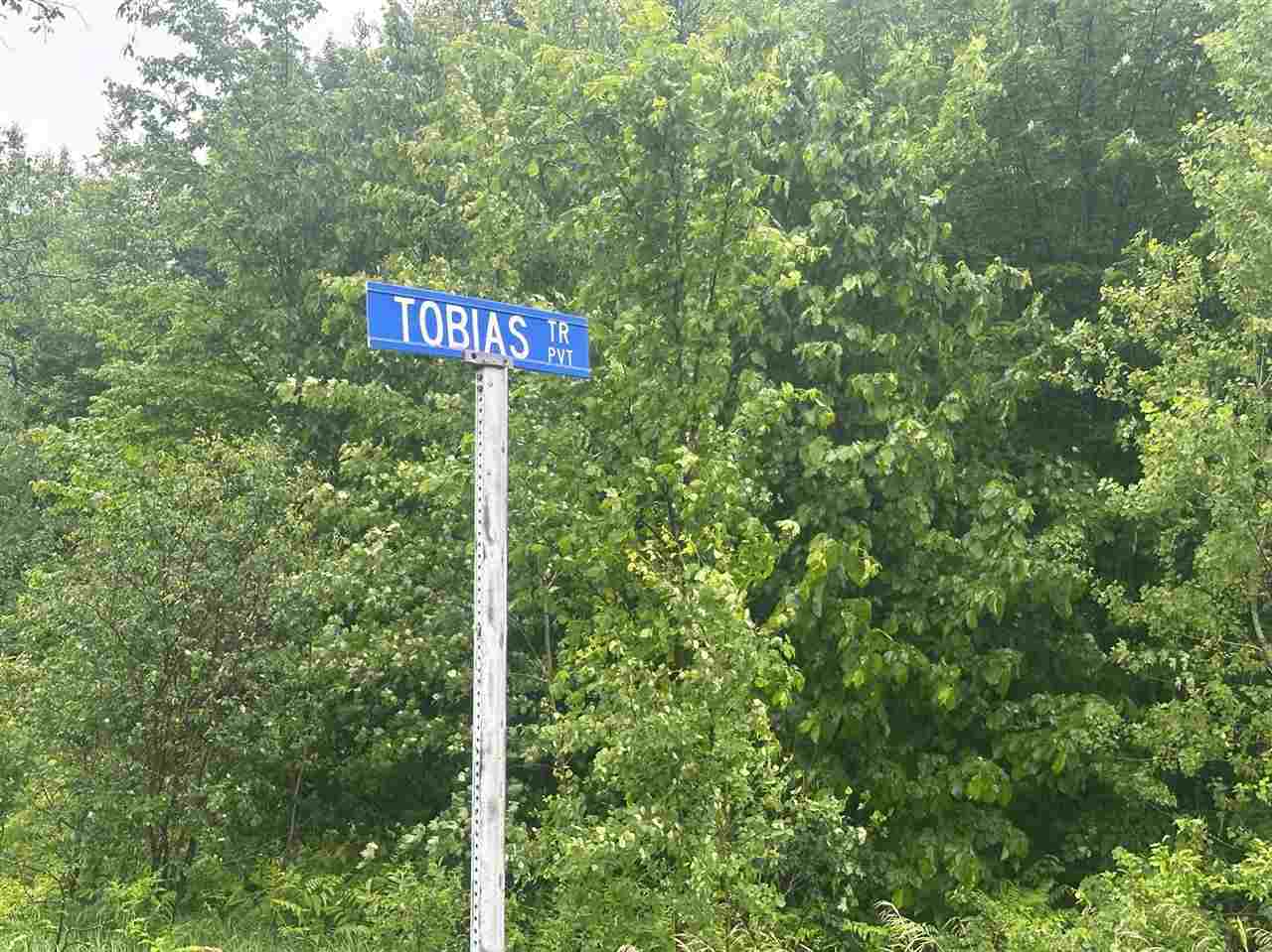 Parcel 2 Tobias Road Elmira MI 49730