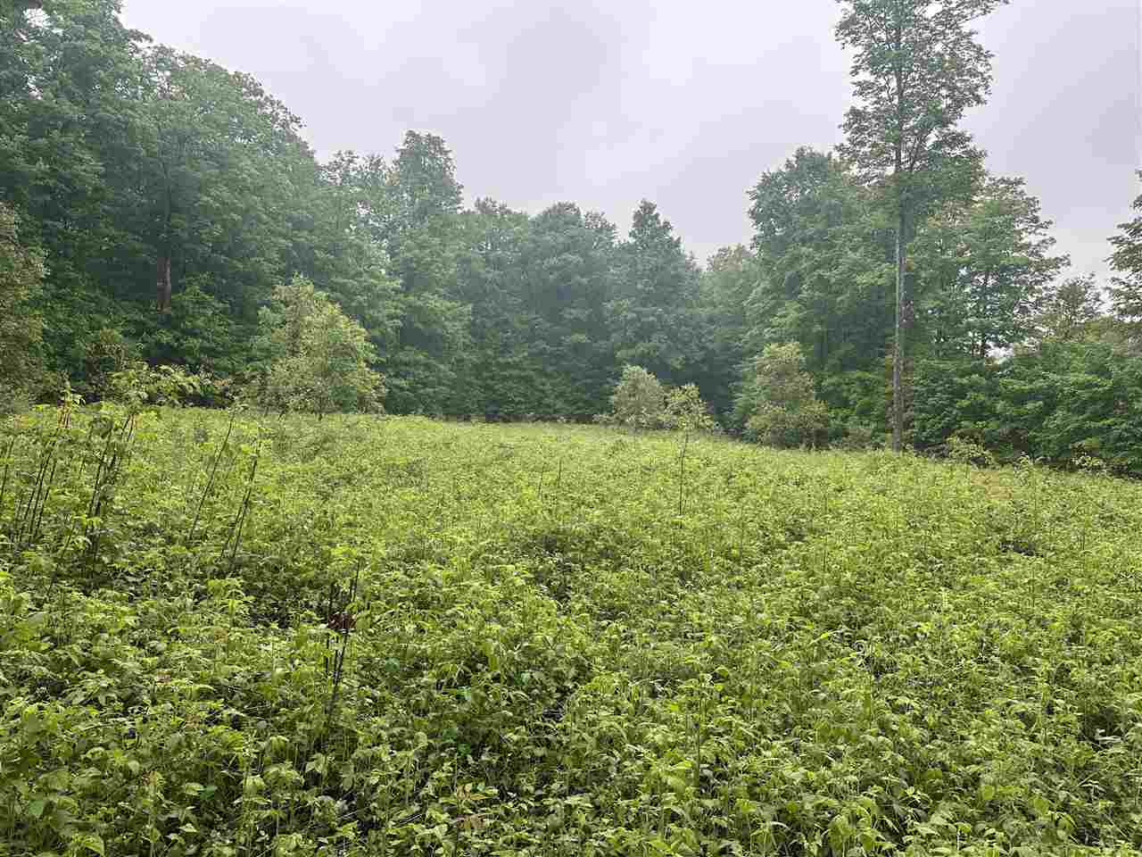 Parcel 2 Tobias Road Elmira MI 49730