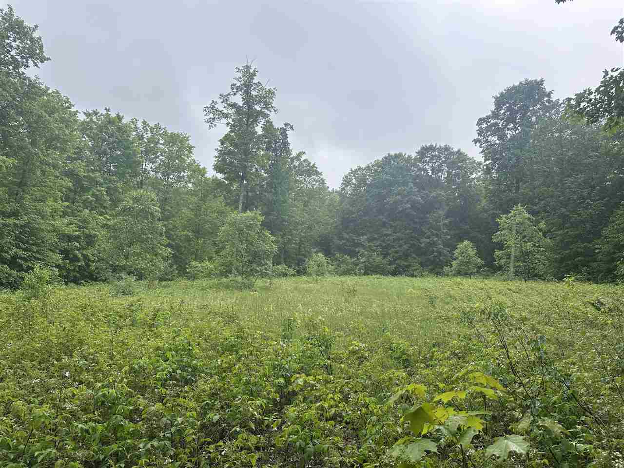 Parcel 2 Tobias Road Elmira MI 49730