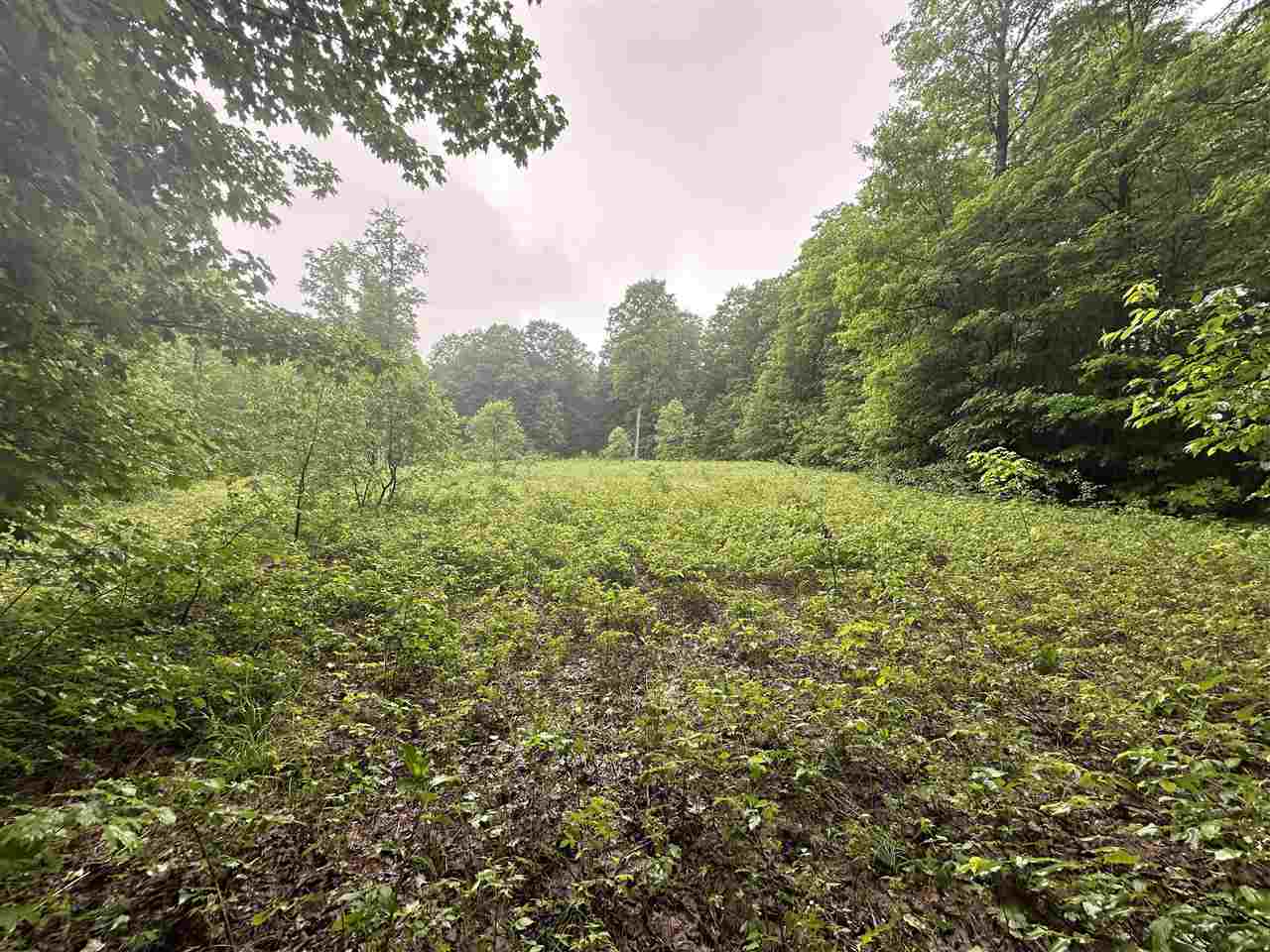 Parcel 2 Tobias Road Elmira MI 49730