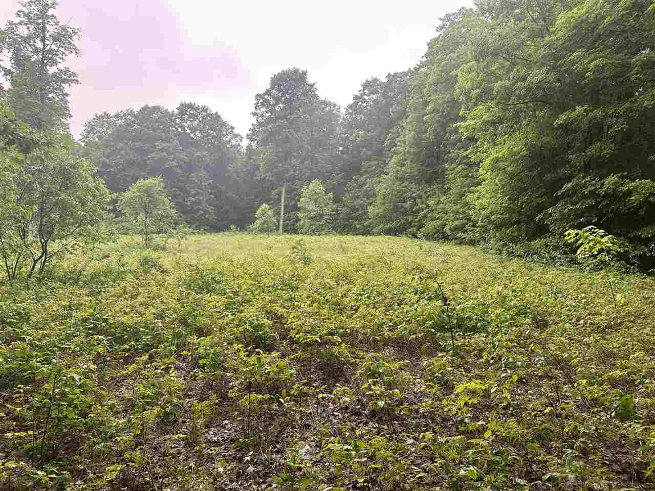 Parcel 2 Tobias Road Elmira MI 49730