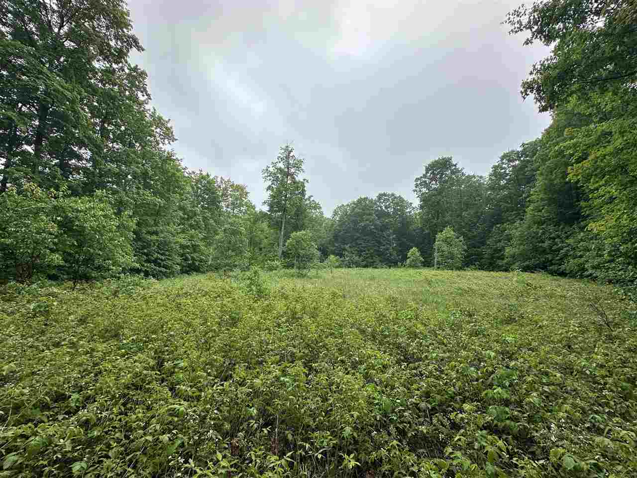 Parcel 2 Tobias Road Elmira MI 49730