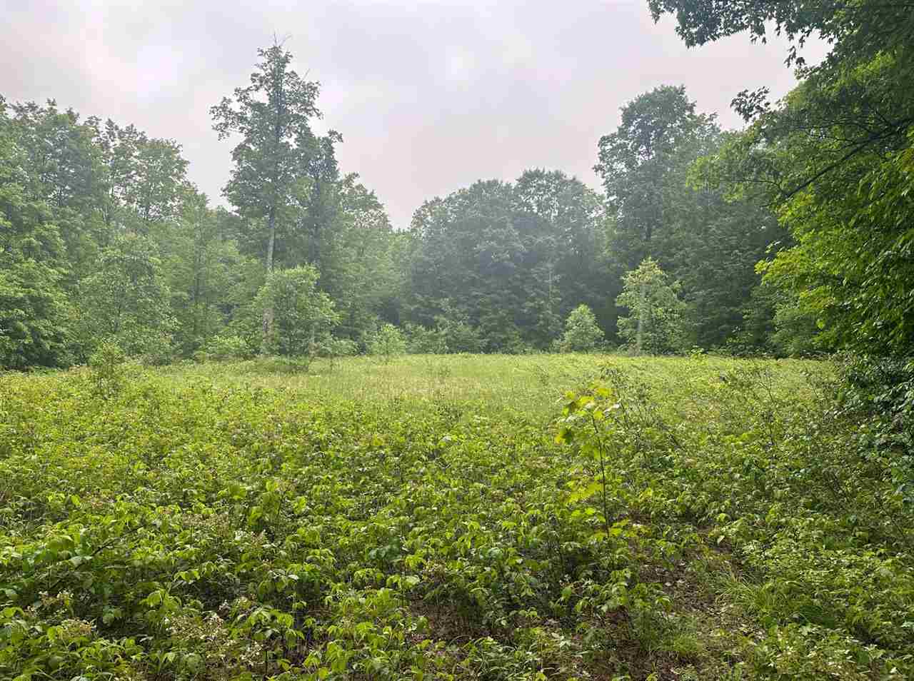 Parcel 2 Tobias Road Elmira MI 49730