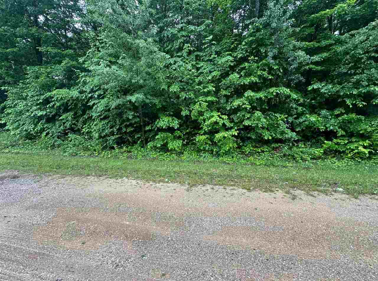 Parcel 2 Tobias Road Elmira MI 49730