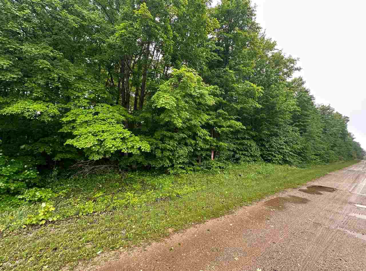 Parcel 2 Tobias Road Elmira MI 49730