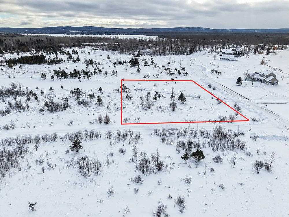 6412 Lora Bette Drive Alanson MI 49706