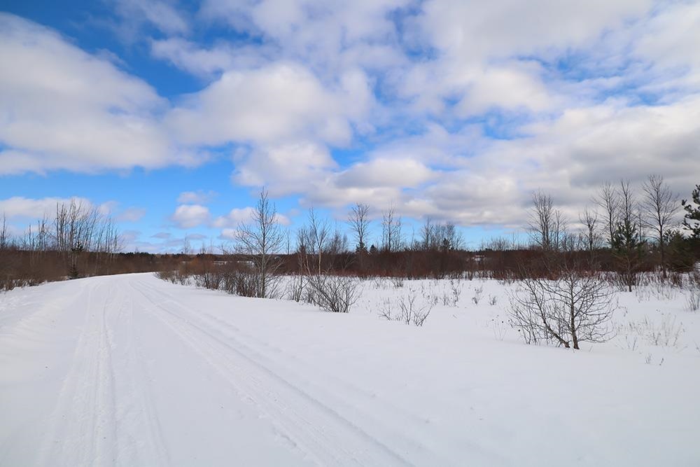 6412 Lora Bette Drive Alanson MI 49706