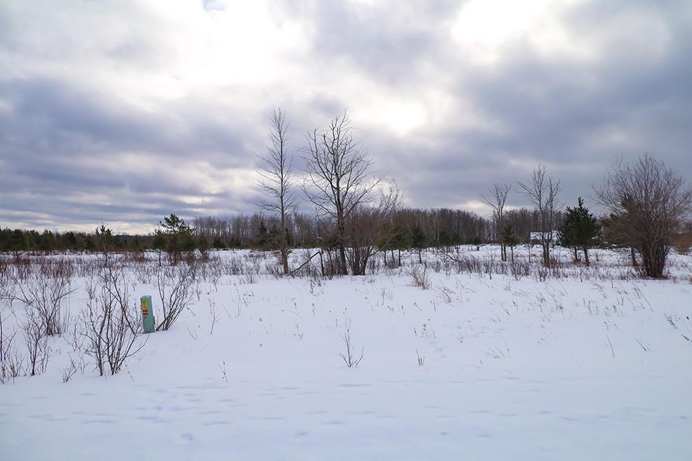 6412 Lora Bette Drive Alanson MI 49706