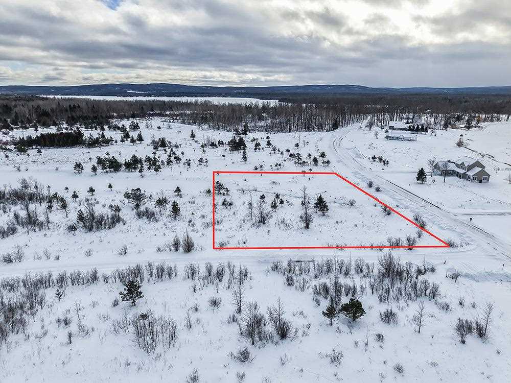 6412 Lora Bette Drive Alanson MI 49706