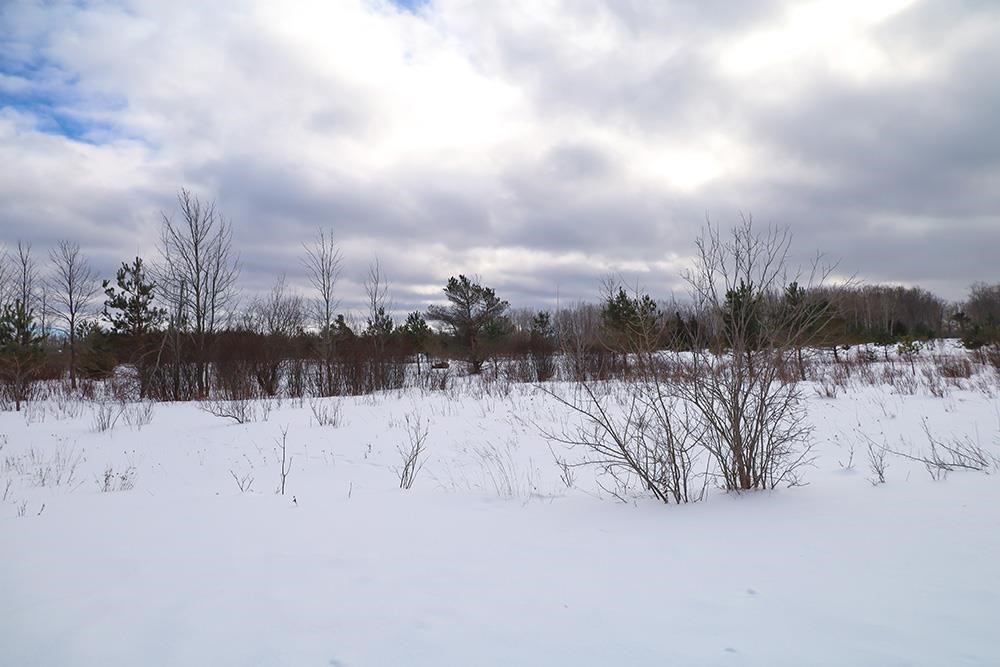 6412 Lora Bette Drive Alanson MI 49706