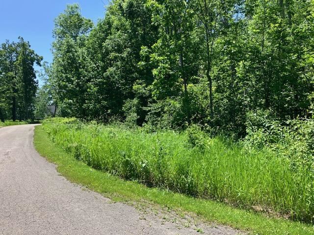 Tbd Maple Isle Court Alanson MI 49706