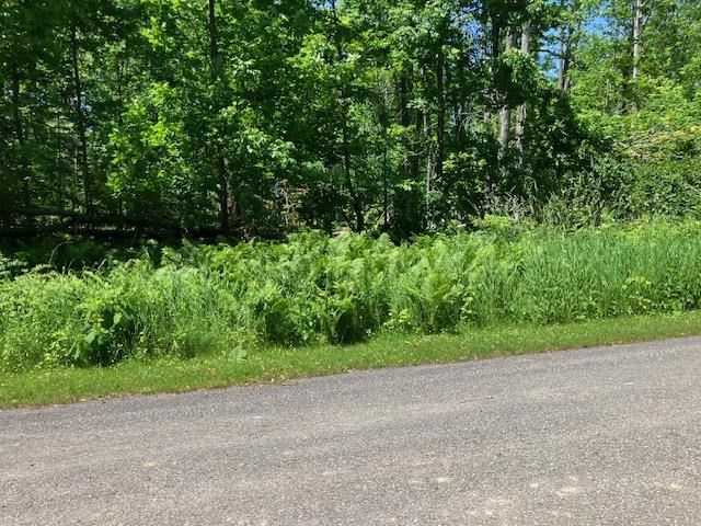 Tbd Maple Isle Court Alanson MI 49706