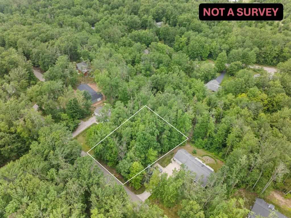 8605 Springridge Drive Petoskey MI 49770