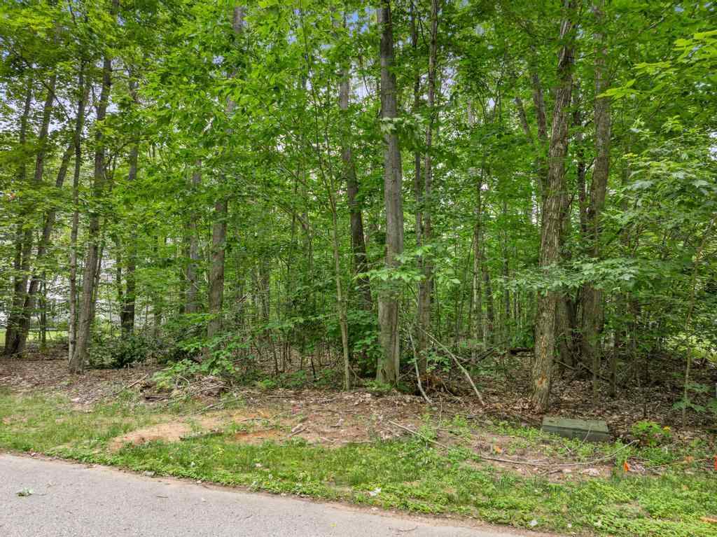 8605 Springridge Drive Petoskey MI 49770